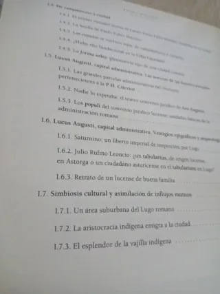 Lucus Augusti, urbs romana