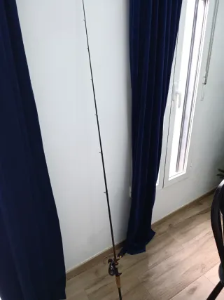 Caña y carrete de casting