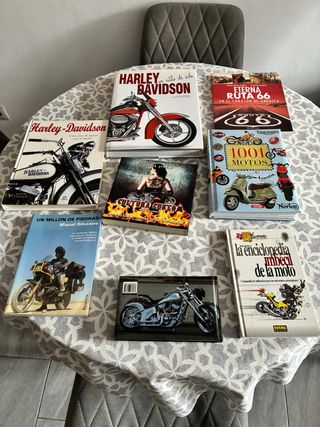 Lote 7 libros de motos y viajes