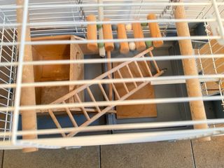 Gabbia per uccelli con voliera