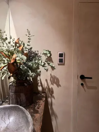 Revestimiento a base de cal