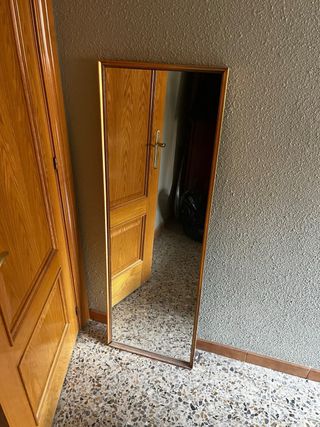 Specchio per guardaroba in legno e vetro
