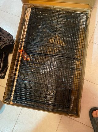 Gabbia per uccelli con 4 mangiatoie