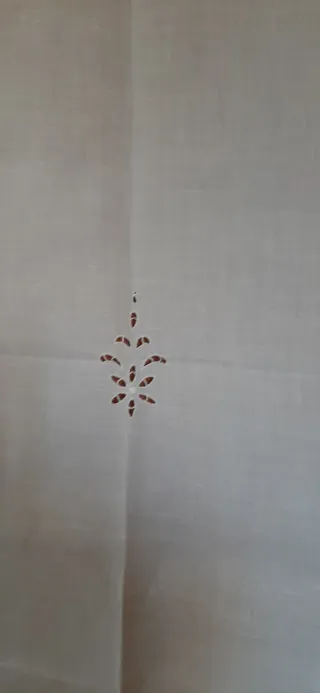 Tenda/Tovaglia Ricamata Intaglio