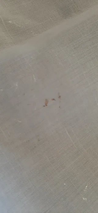 Tenda/Tovaglia Ricamata Intaglio