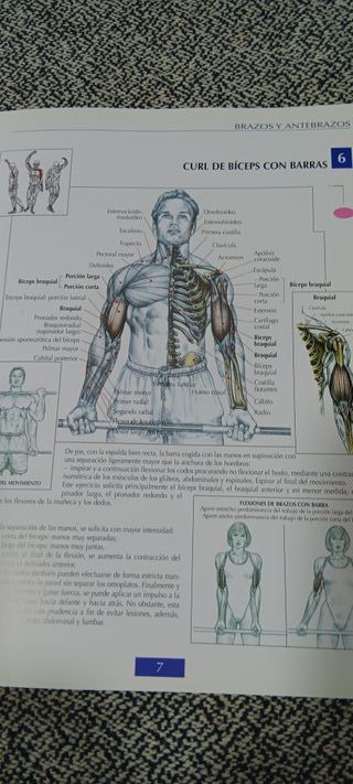 Guía de los Movimientos de Musculación