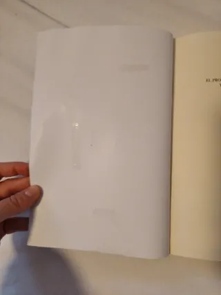 El proyecto de Educación Infantil y su práctica...