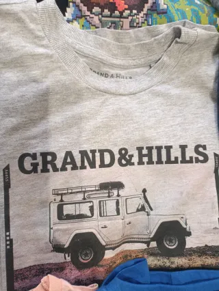 Lote 12 Camisetas Manga Corta