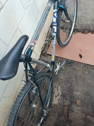 Bicicleta Innovated Canadian Design