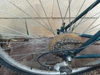 Bicicleta Innovated Canadian Design