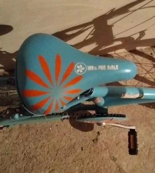 Bicicleta niño/a