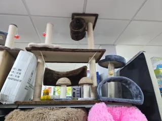 Casita para gatos de varios niveles
