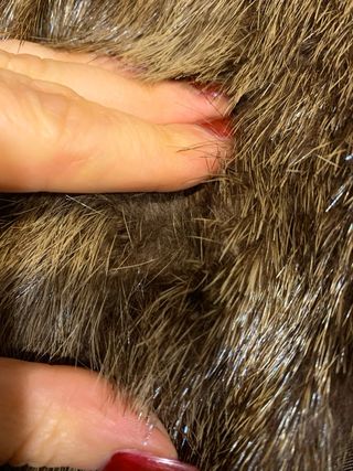 Pelliccia donna cappotto marrone