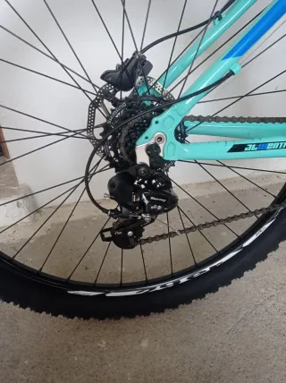 Bicicleta de Montaña