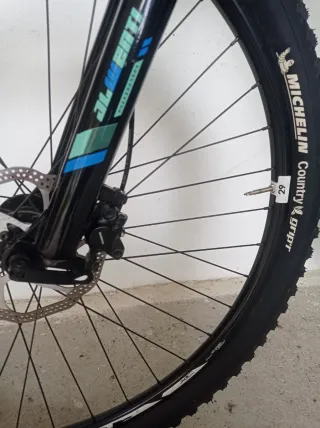 Bicicleta de Montaña