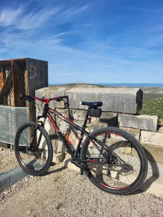 Bicicleta MTB WST WST POISON 29"