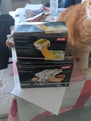 Macchina per Pasta e Ravioli Ilsa