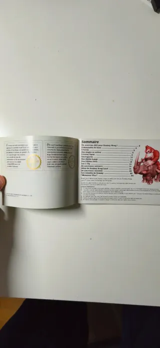 Manual Donkey Kong Land - GB