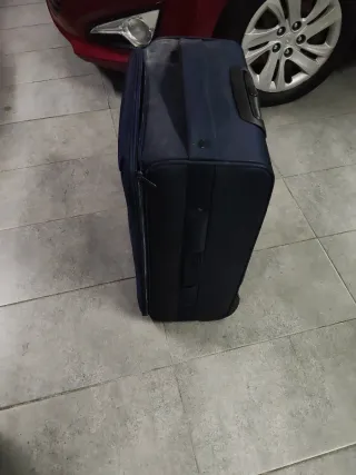 Maletas de viaje medianas (morado  rojo y azul