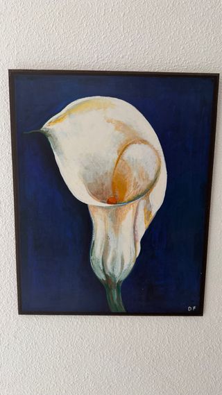 Espejo - perchero - zapateros - lámpara- cuadros