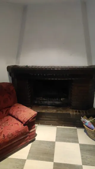 Chimenea de leña metálica para bodega