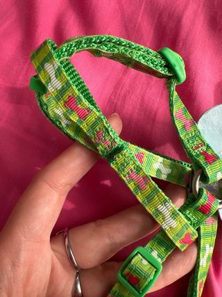 Imbracatura per cani piccoli