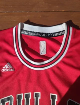 Camiseta Chicago Bulls Pau Gasol 16