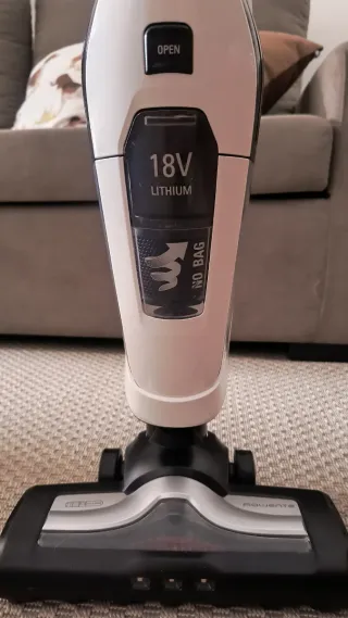 Aspirador Vertical Rowenta Dual Force 2in1