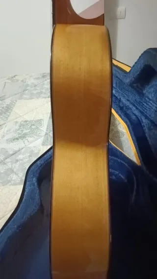 Guitarra Clásica David Rubio