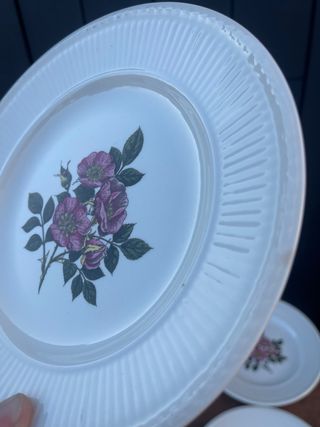 6 Piatti da Dessert Wedgwood Briar Rose in Porcellana