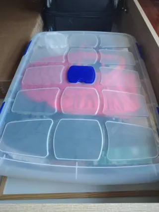 Cajas de Almacenaje PlasticForte con ruedas 56L