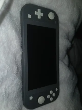 Nintendo Switch Lite Gris