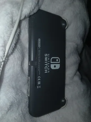 Nintendo Switch Lite Gris