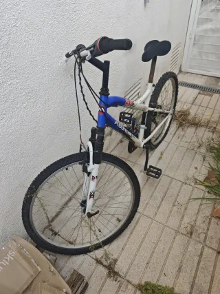 Bicicleta