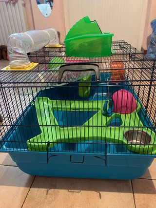 Gabbia per criceti H 38+18 L 79 L 48 cm