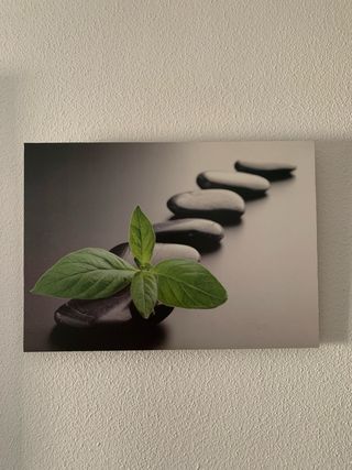 Cuadro Zen Piedras y Planta