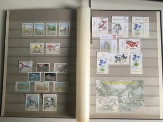 Clasificador con sellos nuevos del mundo.