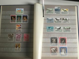 Clasificador con sellos nuevos del mundo.