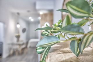 Piso en alquiler en Huerta de la Reina - Trassierra en Córdoba