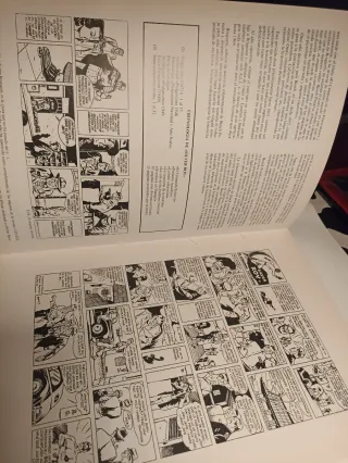 Silver Roy el comando solitario