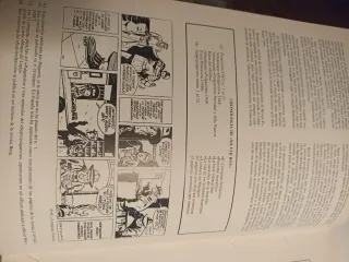 Silver Roy el comando solitario