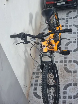 Bicicleta Infantil 20" WST