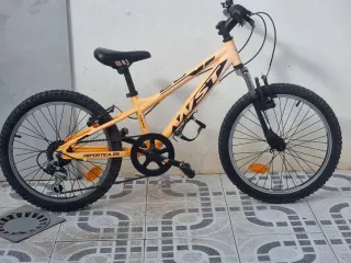 Bicicleta Infantil 20" WST