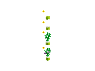 LEGO Classic 11018 Divertimento Oceanico Creativo