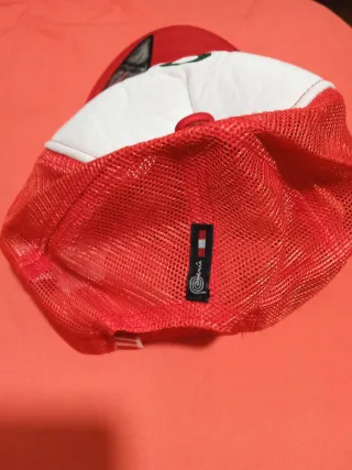 Gorro Perú Escudo Nacional