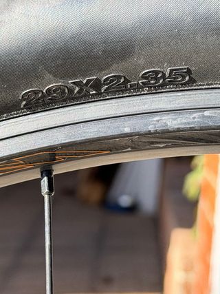 Rueda Trasera Maxxis Forekaster 29 E-MTB