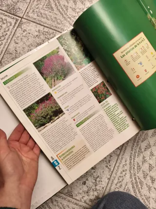 Plantas y decoración 5 volúmenes