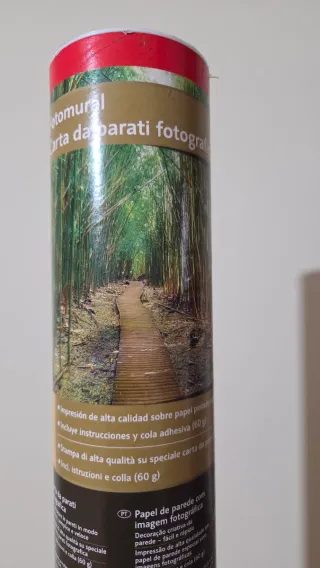 Melinera Carta da Parati fotografica canneto