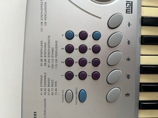 Piano Ringway K35 49 teclas