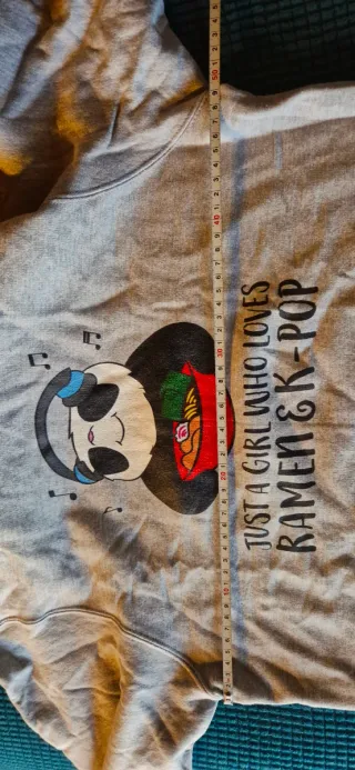 Sudadera K-Pop Ramen Panda Gris